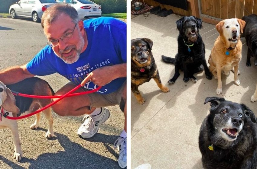  Russell Clothier, a former high school physics teacher opens a sanctuary for senior dogs