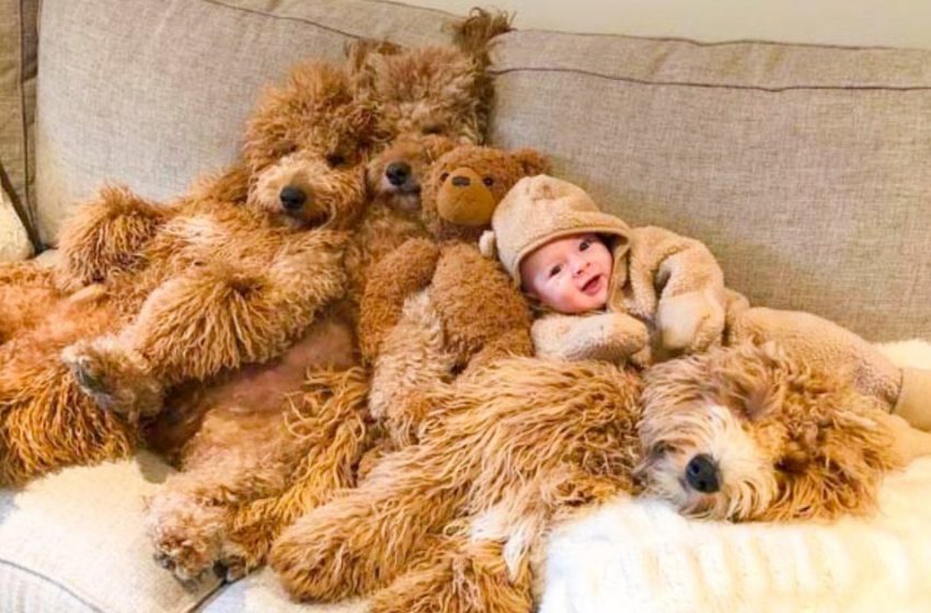  A 6-month-old baby has wonderful nannies that are very similar to teddy bears!