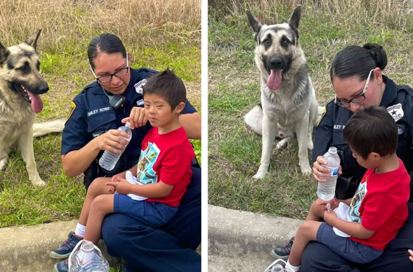  Animal loyalty: missing 5-year-old boy with Down’s syndrome found safe and sound thanks to his dog that guarded him all the time