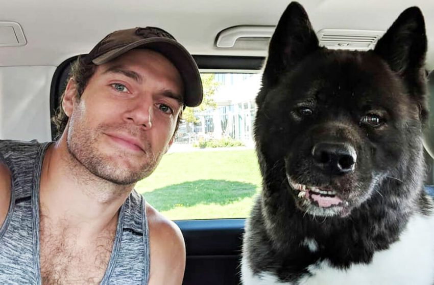  The famous actor Henry Cavill and his pet dog are inseparable soul-friends