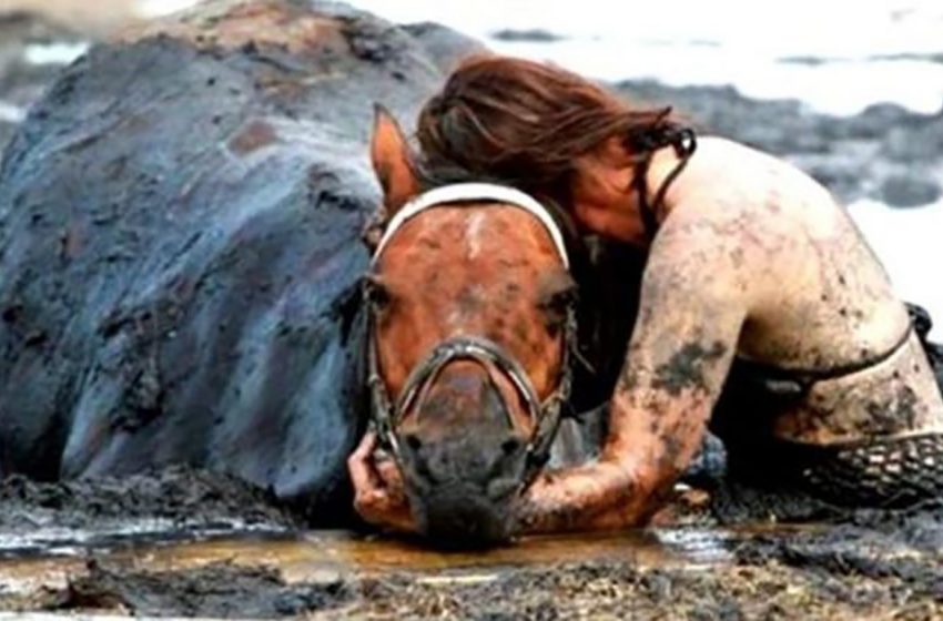  The woman did not leave her pet horse stuck in the swamp and tried her best to help the animal