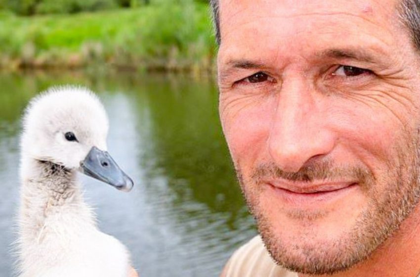  Once a man saved a little “duckling” which turned out to be a real swan!