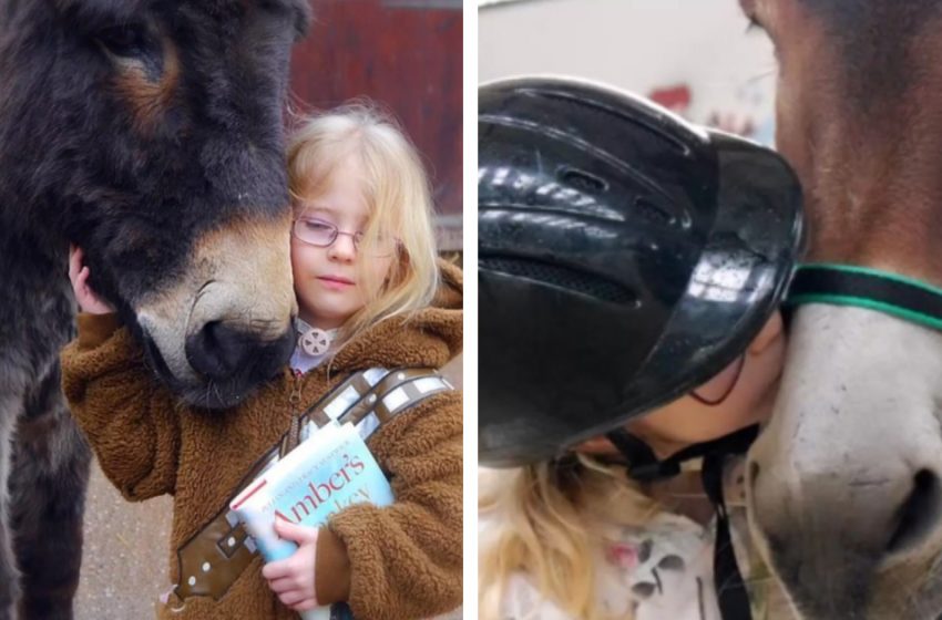 Animal therapy healed a speechless girl. “I love you, donkey!”  are the girl’s first words