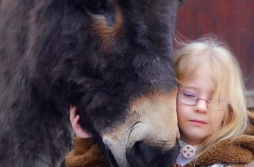  The positive result of the animal therapy! Completely mute girl’s first words were – “I love you, Shock”