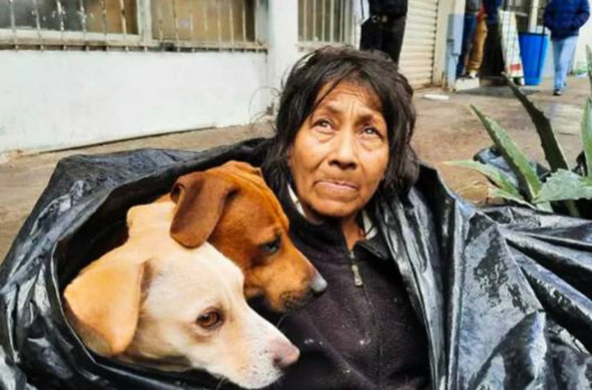  The homeless woman refused to leave the street. In fact, she didn’t want to leave her dogs!