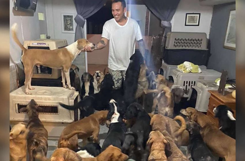  Man brought 300 dags to his place to protect them from hurricane!