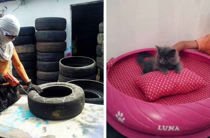  Brazilian picks up old dirty tires and turns them into cozy beds for pets