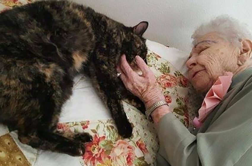  103-year-old grandmother mourned her dead cat and asked for “a cat” for her birthday!