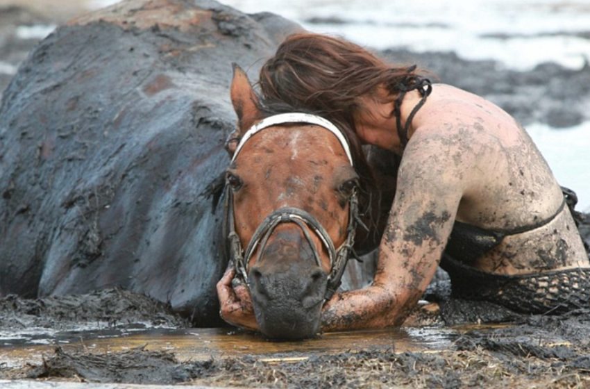  Woman stayed by her horse’s side for three hours after a massive animal got stuck in the mad!