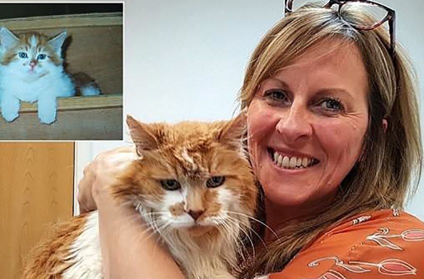  The oldest cat in the world celebrated her 20th anniversary!