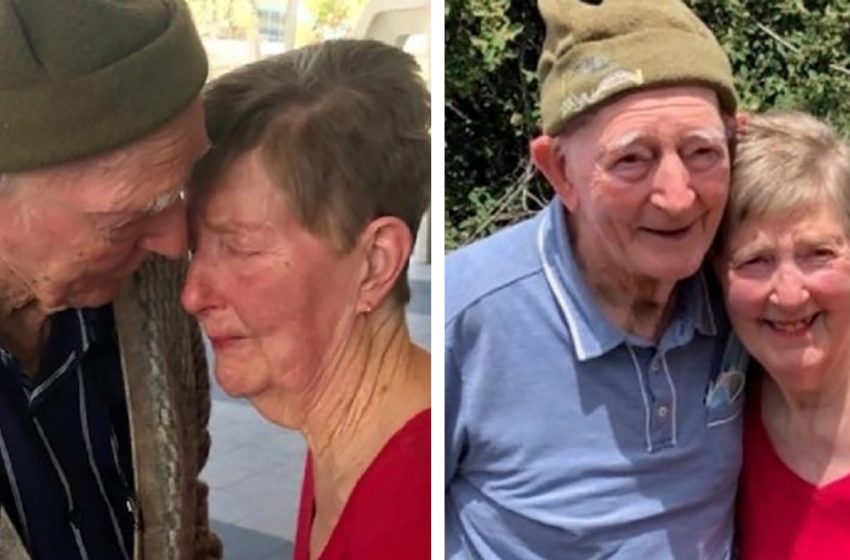  These two siblings separated 80 years ago are reunited, and you will cry when you see their touching reunion