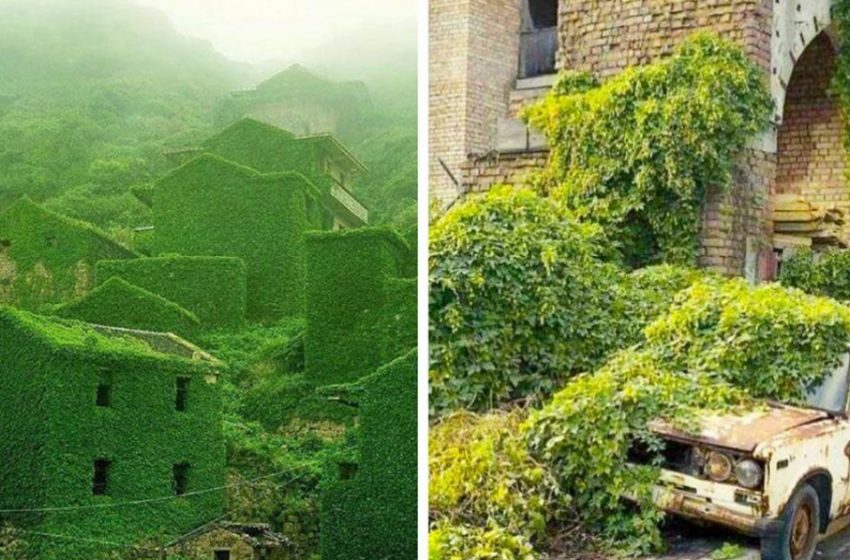  18 pictures from different parts of the world where nature fully dominates!