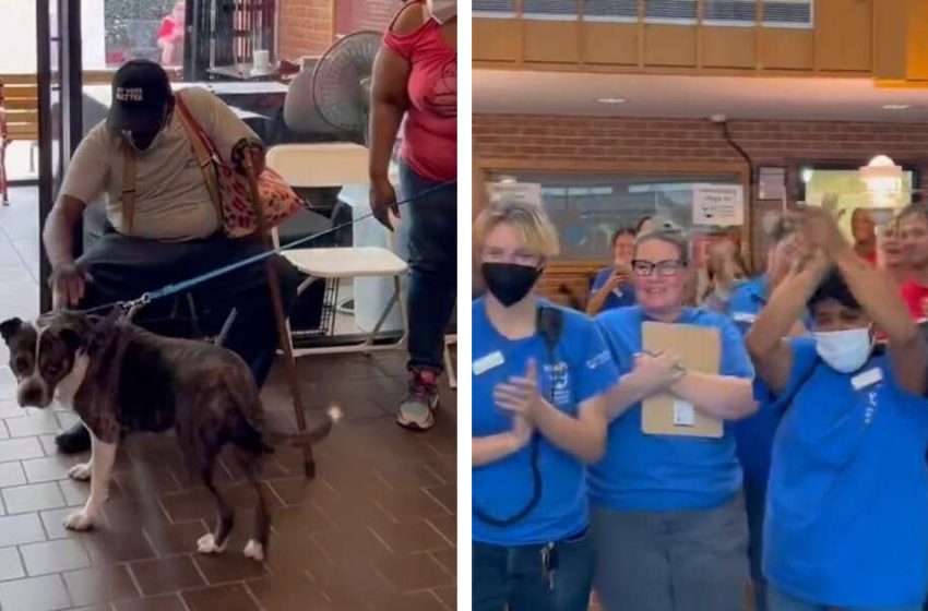  Watch the emotional moment of rescue staff saying gooodbye to the most loved and long-overlooked dog that was finally adopted…