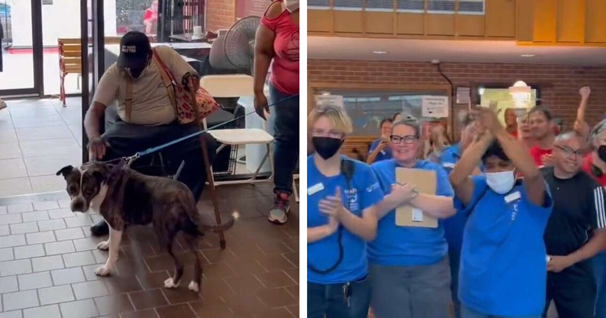 Watch the emotional moment of rescue staff saying gooodbye to the most