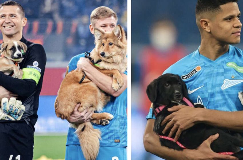  The surprise of the Zenit football team before the match delighted fans…