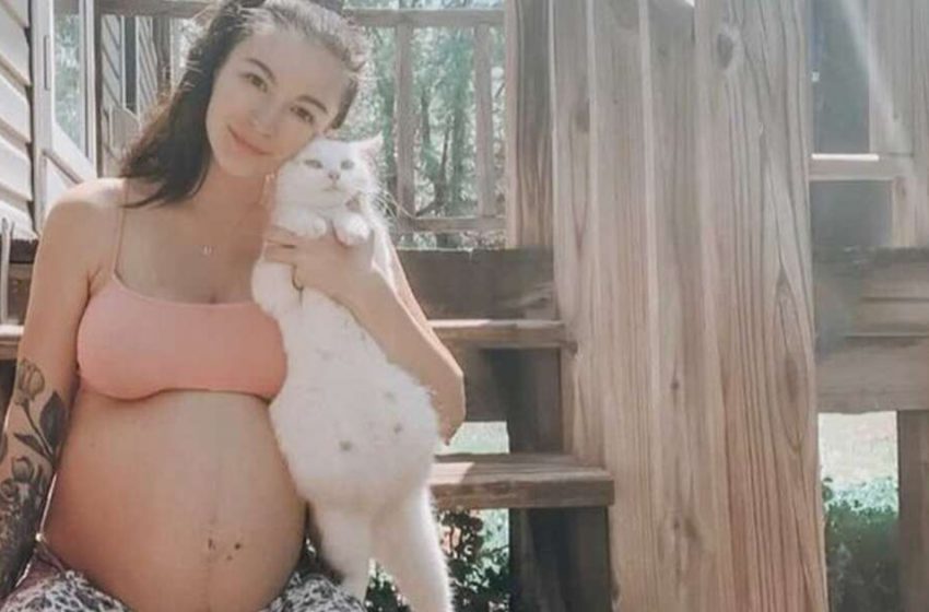  A pregnant woman rescued a wounded stray cat that was also pregnant- their babies were born on the same day