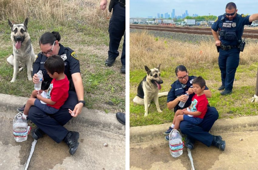  A faithful dog guarded the boy who left the house and got lost!