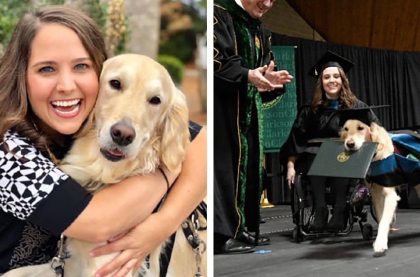  A special service dog that got his owner through the University education was awarded with MA Degree
