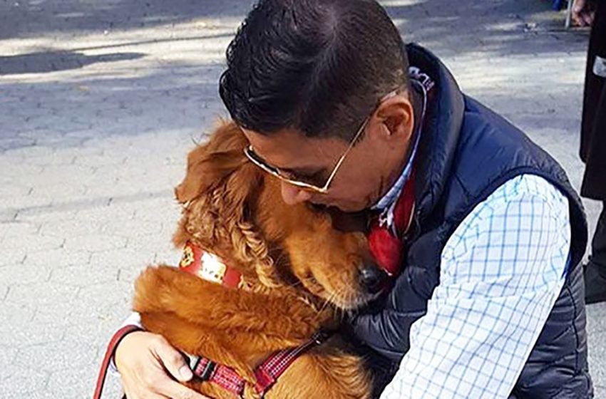  This retriever loves giving hugs to everyone he meets