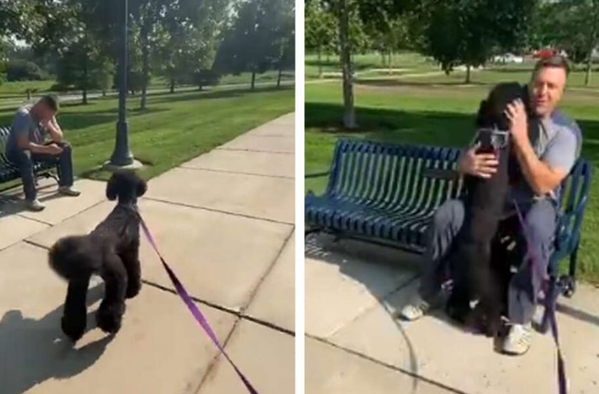  Dog walking by a man sitting on a bench suddenly realizes she knows him