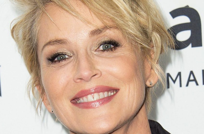  Sharon Stone disappointed fans with honest pictures without makeup