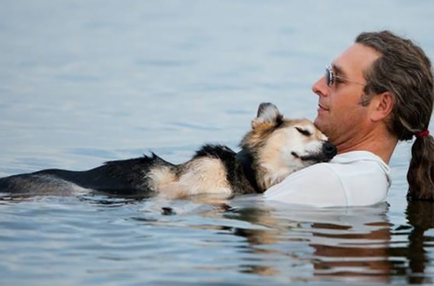  This man takes his sick dog swimming every day as the water eases the pain