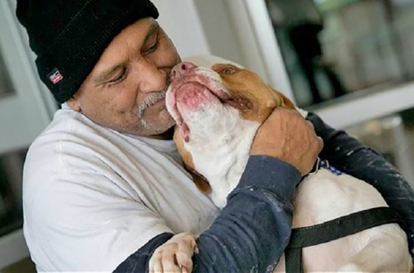  After four months, the man returned for his pit bull after he was forced to leave him at the shelter