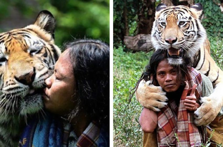 A man from Malang, Indonesia, forms an unusual friendship with a tigress