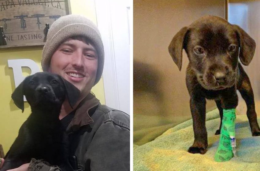  Friends in misfortune – a deaf guy adopted a deaf rescue puppy!