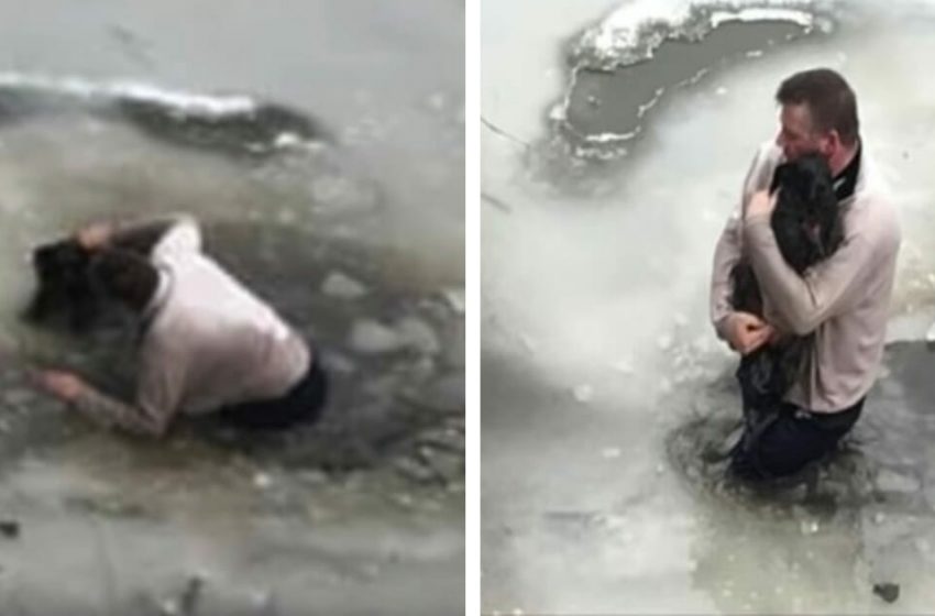  A man heroically rescued the dog that fell into the ice and appeared in icy water!