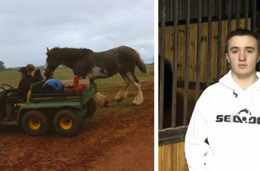  A 16-year-old brave guy drived into a burning farm and saved  14 Clydesdale horses from fire!