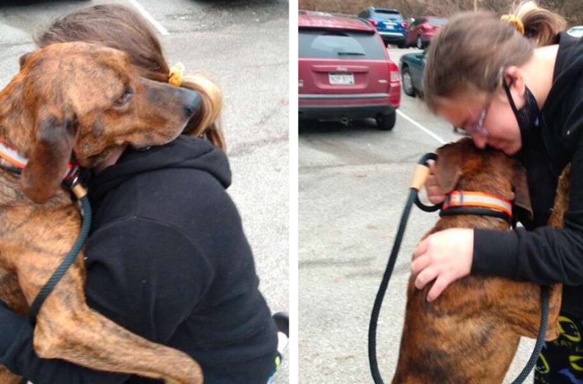  The shelter dog spotted the girl having an anxiety attack and rushed to helo her