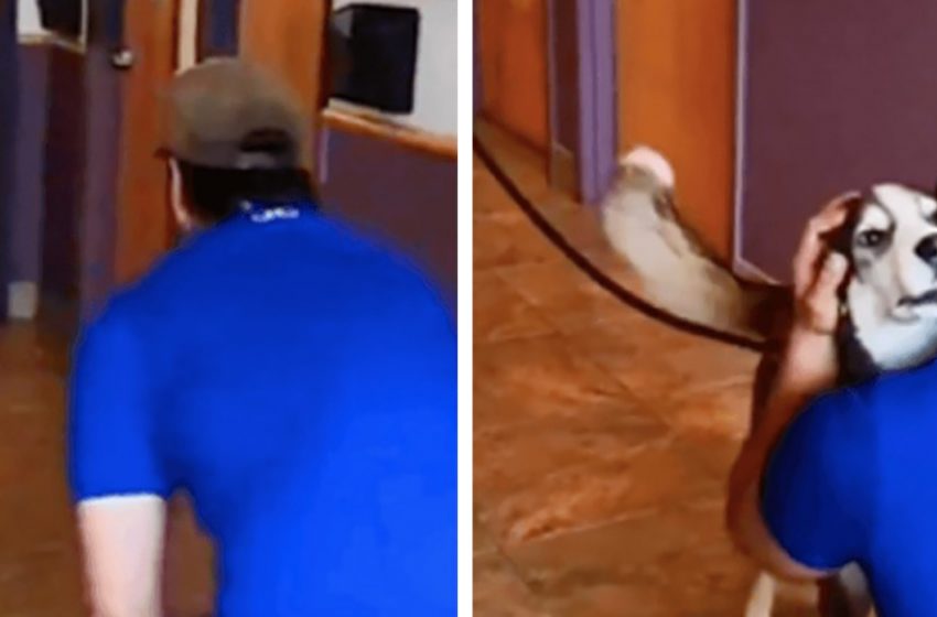  A story that makes us believe in miracles – a guy who has been looking for his dog for 3 years has finally reunited with him!