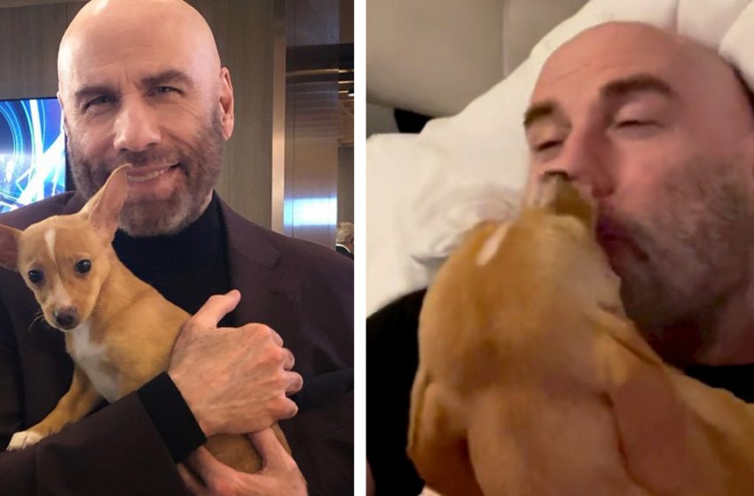  A famous actor, John Travolta shared a funny video of a rescue dog waking him up with kisses and hugs!