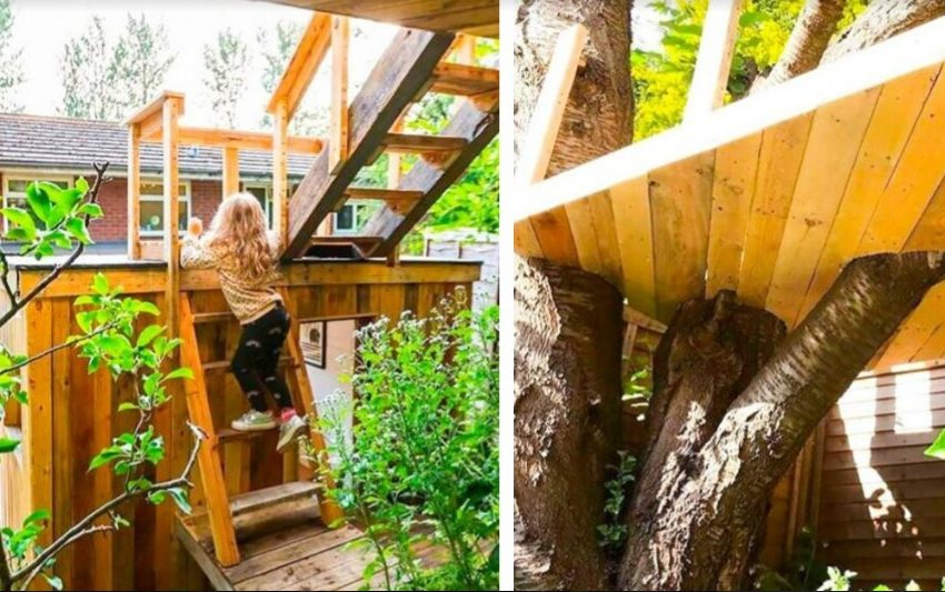  A caring father built a tree house for his daughters. It turned out fabulous!