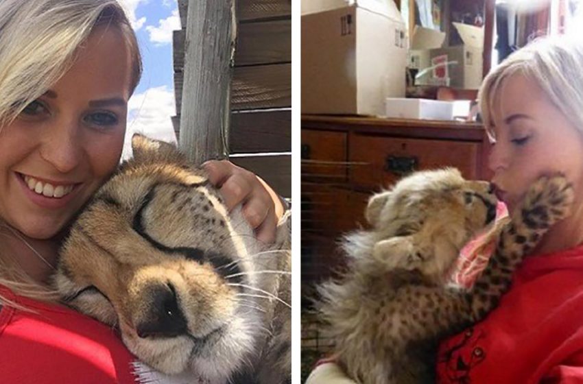  Britosh Girl Saves The Cheetah By Adopting It