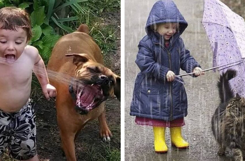  A selection of very cute pictures of children with animals