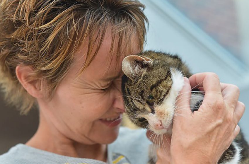  “This Is A Miracle!” Cat Returns Home After Missing For 13 Years