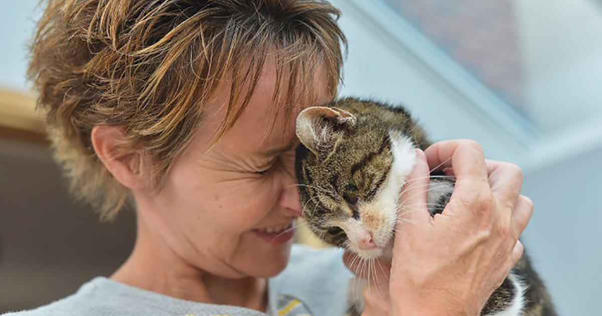 "This Is A Miracle!" Cat Returns Home After Missing For 13 Years(02)