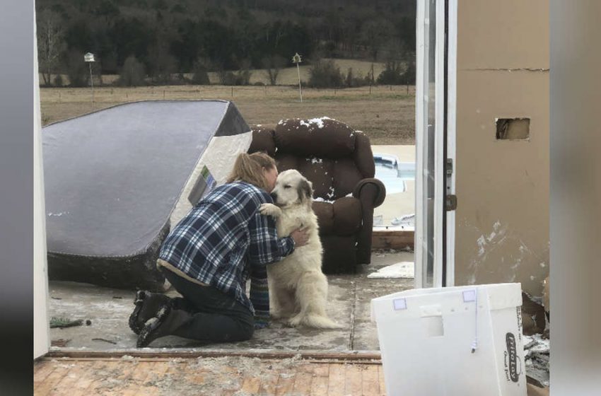  Dog Reunites With His Mom After A Destructive Tornado