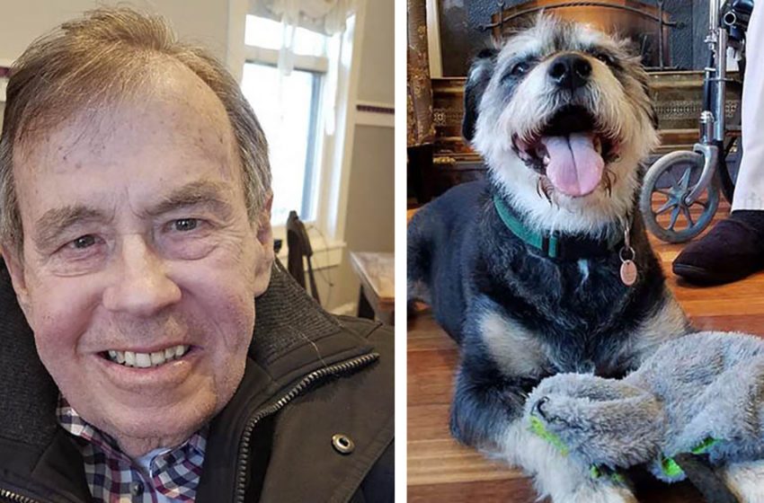  His Last Wish Before Dying Is To Find A Forever Home For His Dog