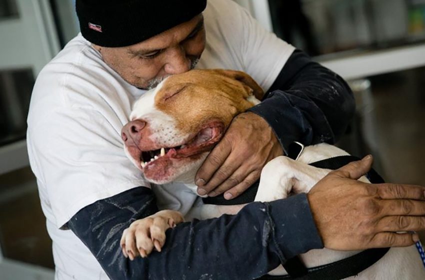  The dog reunites with his owner who came back for his pet!