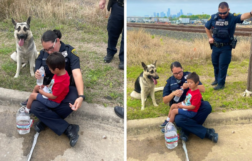  Dog Stayed By The Missing Boy With Down Syndrome