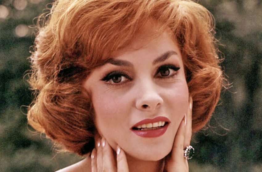  “Gina Lollobrigida Passed Away”: The Life Story Of The Great Actress!