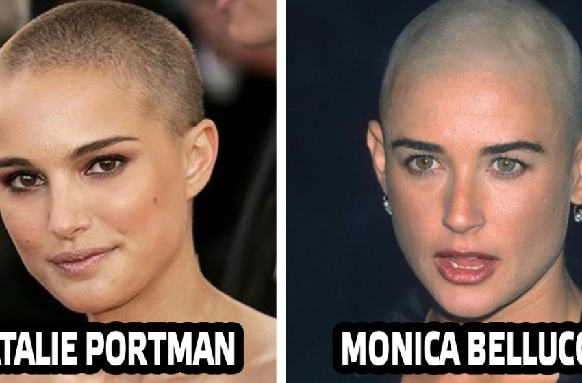  Bald But Beautiful! Actresses Who Were Not Afraid To Be Left Without Hair