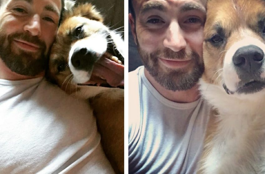  Chris Evans Says Adopting His Dog Was The Best Decision Of His Life
