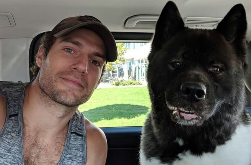  Superman Actor Henry Cavill Says His Dog Saved Him From Mental Health Problems