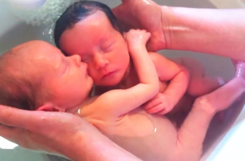  “Look At Their First Swim!”  These Twins Haven’t Realized They Have Been Born Yet