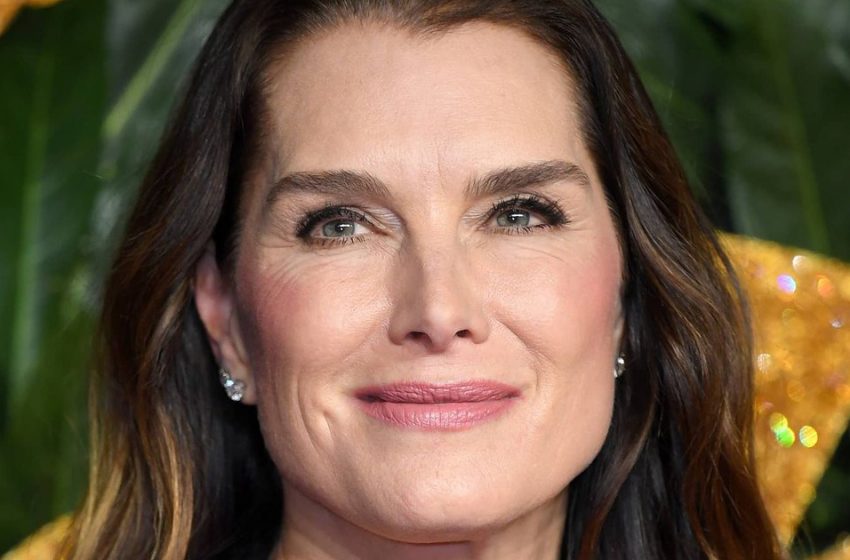  “My Daughter Has Grown Into A Beauty!” Brooke Shields Made An Appearance With 16-Year-Old Grier