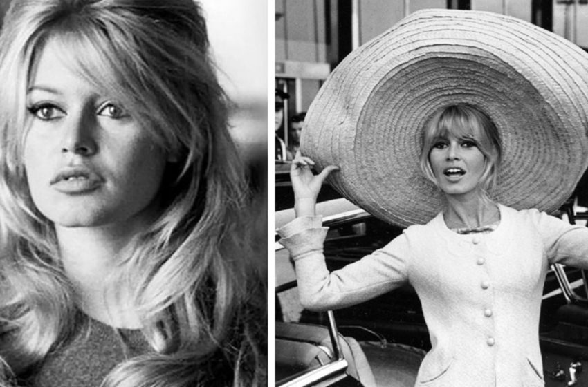  “Age Is Just a Number”: 88-Year-Old Brigitte Bardot Looks Just As Beautiful And Elegant!